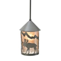 Timeless Bronze / Silver Mica
