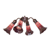 Mahogany Bronze