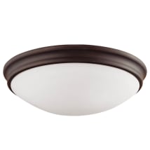 Rubbed Bronze