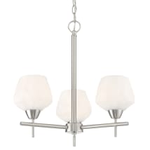 Brushed Nickel