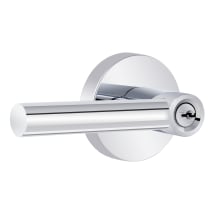 Polished Chrome