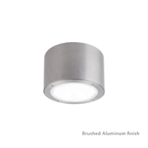 Brushed Aluminum