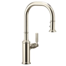 Polished Nickel