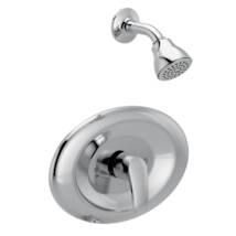 Polished Chrome