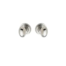 Polished Stainless