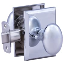 Polished Stainless