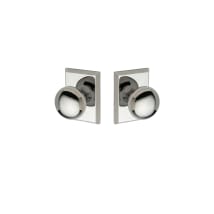 Polished Stainless