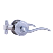 Polished Stainless