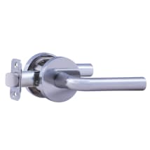 Polished Stainless
