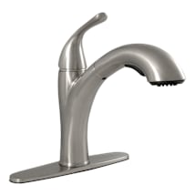 Brushed Nickel