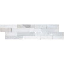 Artic White