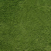 Emerald Green