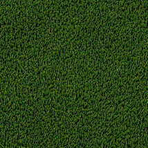 Viridian Green