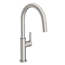 Stainless Steel (PVD)