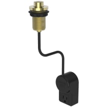 Polished Brass Uncoated (Living)