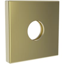 Polished Brass Uncoated (Living)