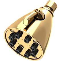 Polished Brass Uncoated (Living)