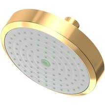 Polished Brass Uncoated (Living)