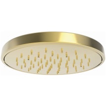 Forever Brass (PVD)