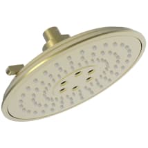 Polished Brass Uncoated (Living)