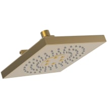 Satin Gold (PVD)