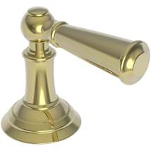Polished Brass Uncoated (Living)