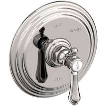 Polished Nickel