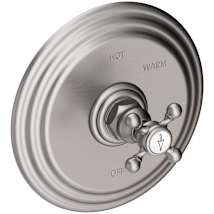 Stainless Steel (PVD)