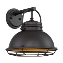 Dark Bronze / Gold