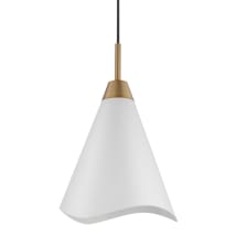 Matte White / Burnished Brass