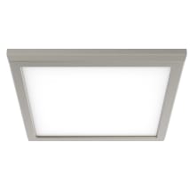 Brushed Nickel