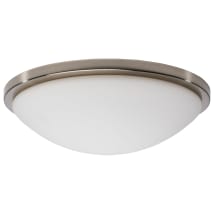 Brushed Nickel
