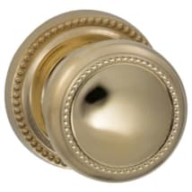 Unlacquered Polished Brass