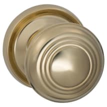 Unlacquered Polished Brass