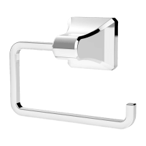 Polished Chrome