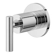Polished Chrome