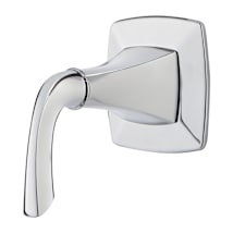 Polished Chrome