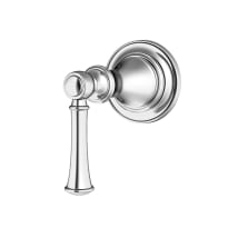 Polished Chrome