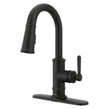 Spot Defense Matte Black