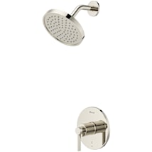 Polished Nickel