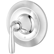 Polished Chrome