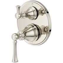 Polished Nickel