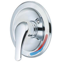Polished Chrome