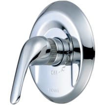 Polished Chrome