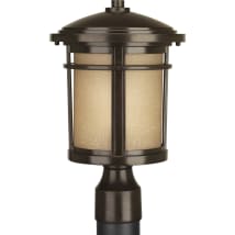 Antique Bronze