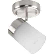Brushed Nickel