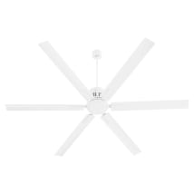 Studio White