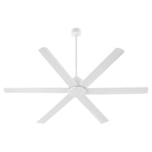 Studio White