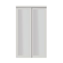 Euro 3-Lite Design Pivot Door - Renin