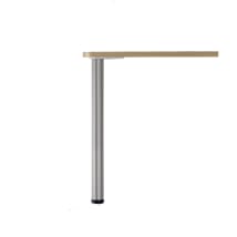 Brushed Nickel